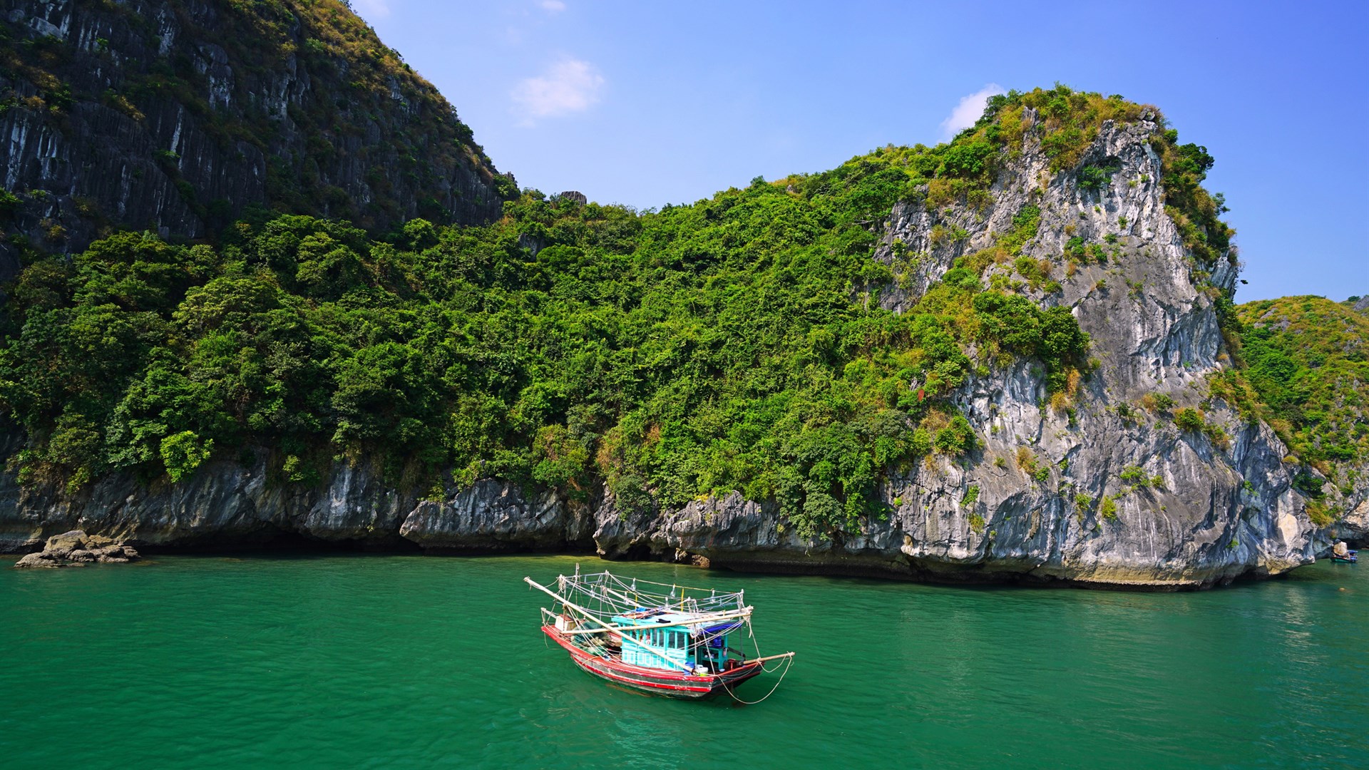 عکس جالب از قایق قشنگ در وسط آب با درختان سبز و زیبا 