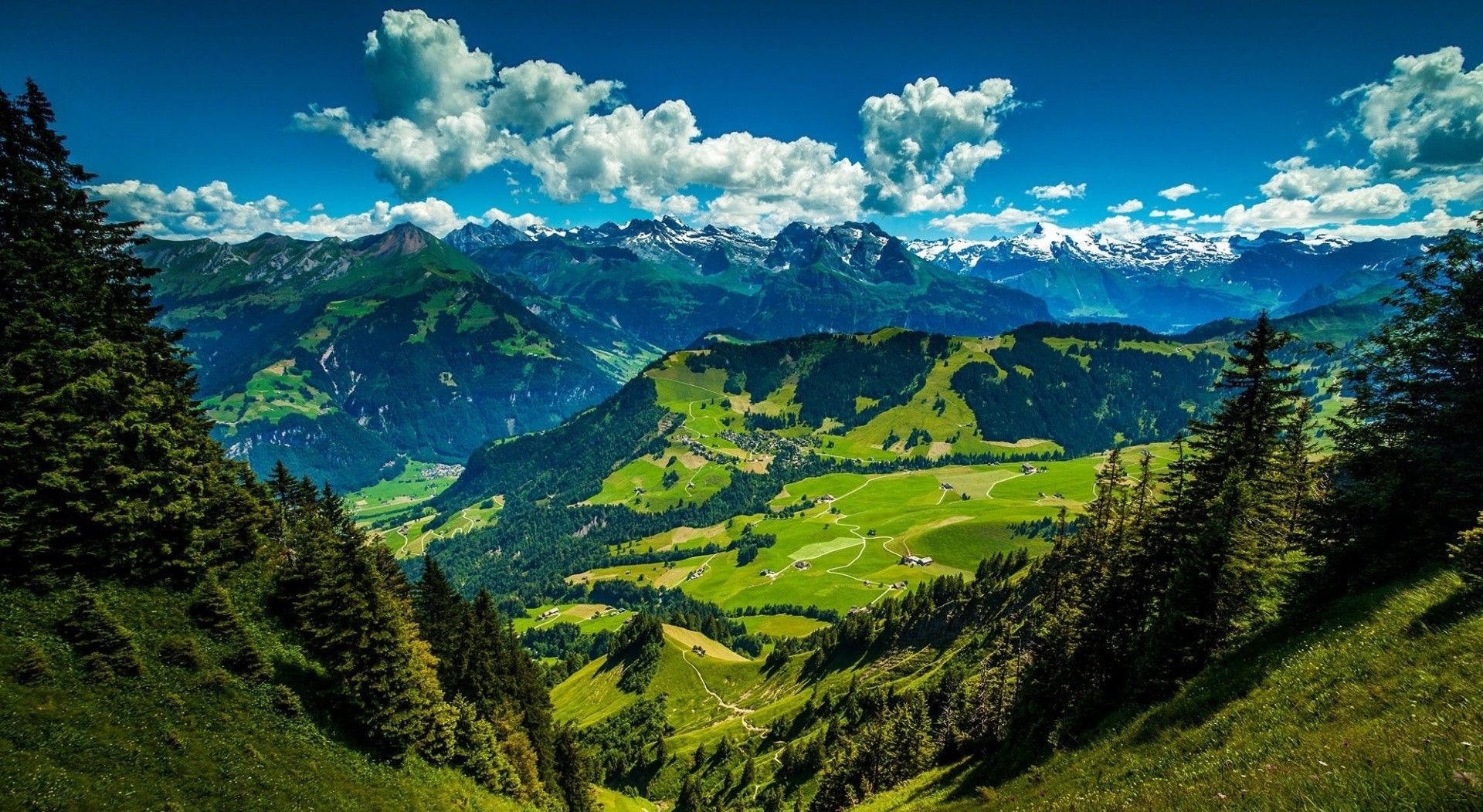 عکس طبیعت سرسبز کوه های آلپ سوئیس