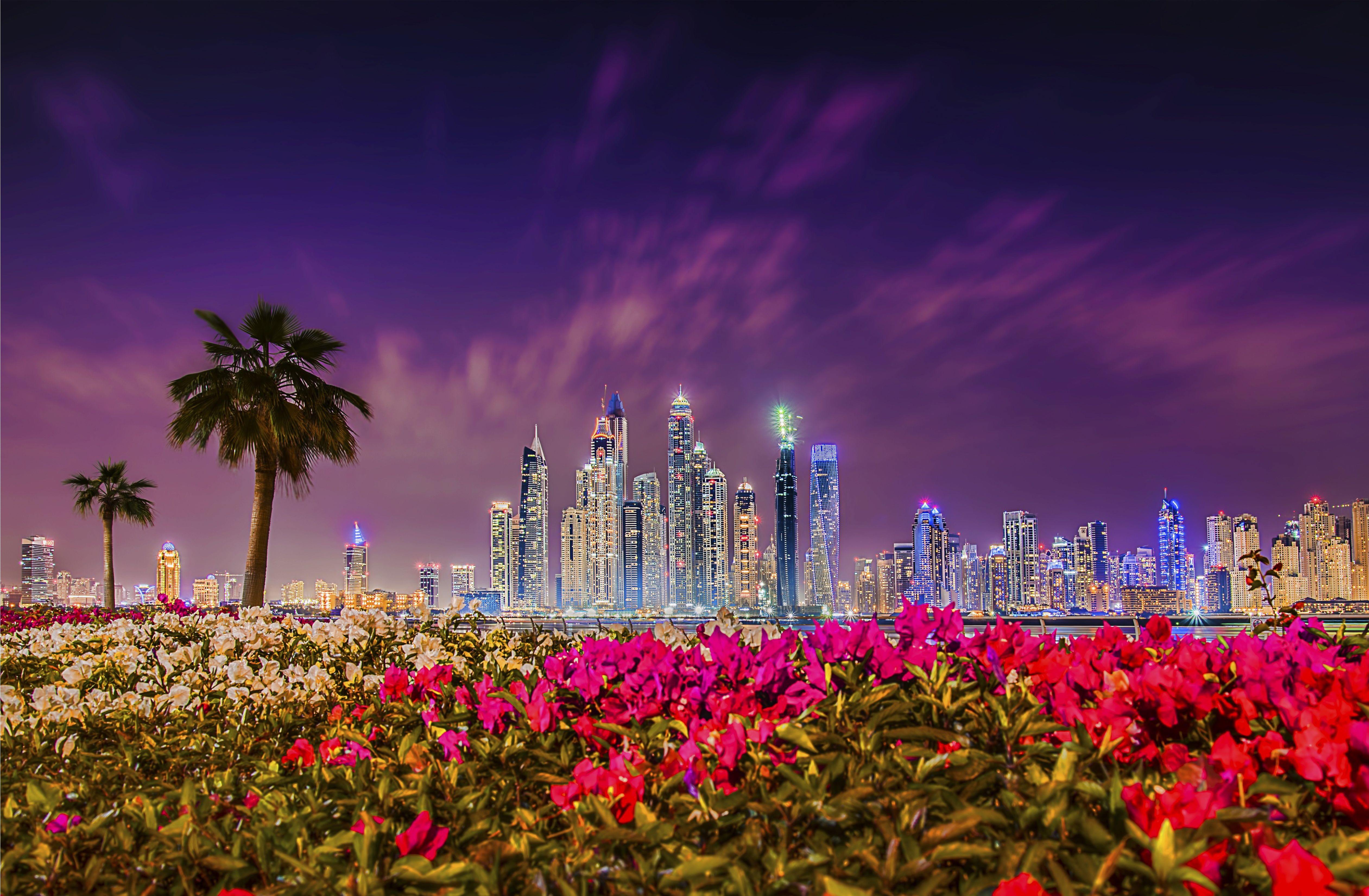 صفحه زمینه خوشگل گل های زیبا در شب دبی برای تبلت