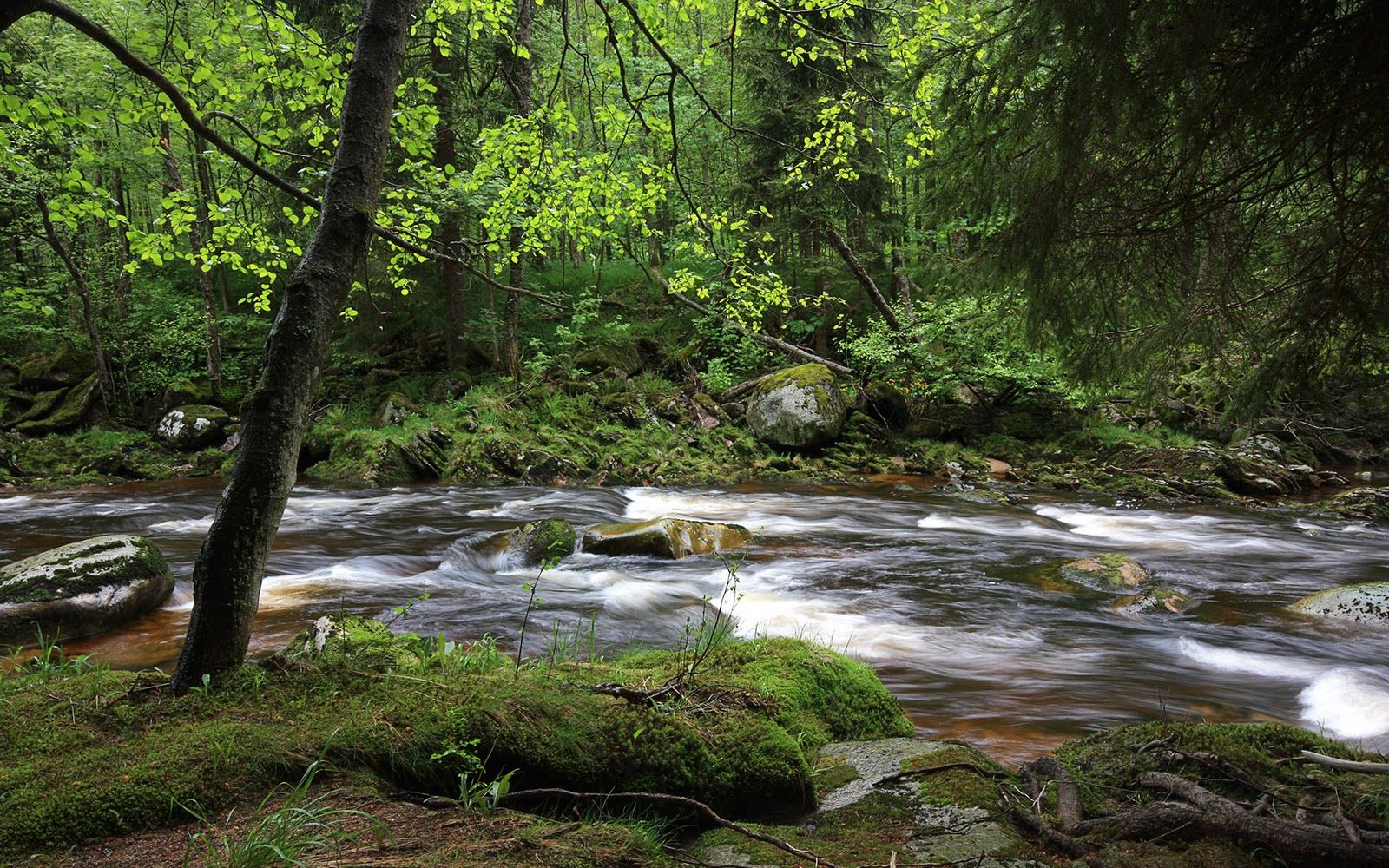 عکس رودخانه ی زیبا از طبیعت چک