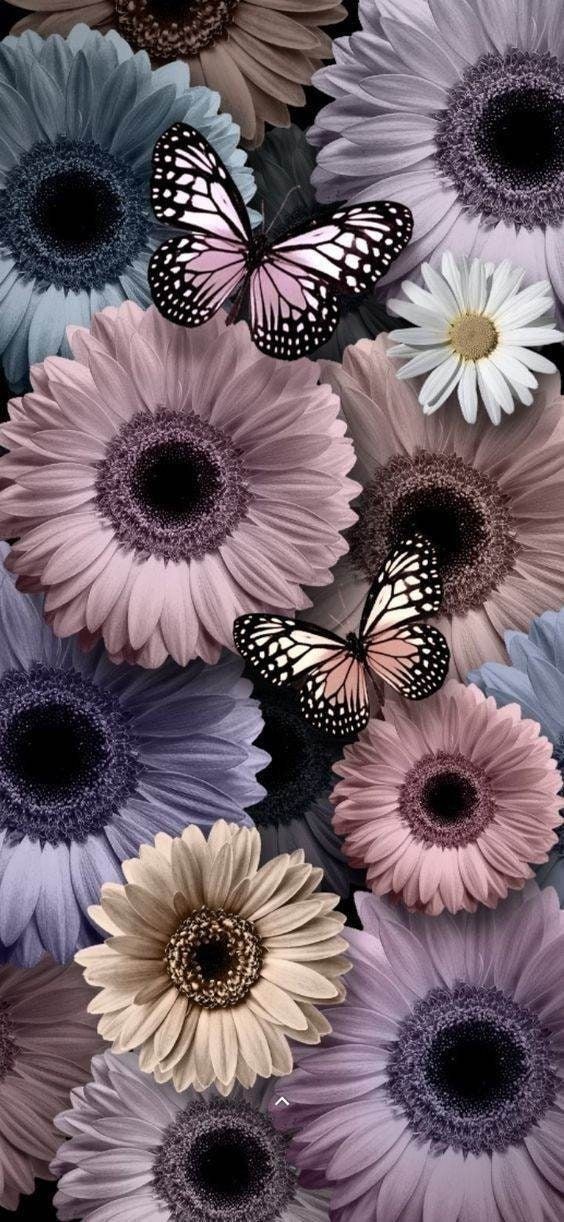 تصویر زمینه و بک گراند گل و پروانه برای گوشی و موبایل احساسی