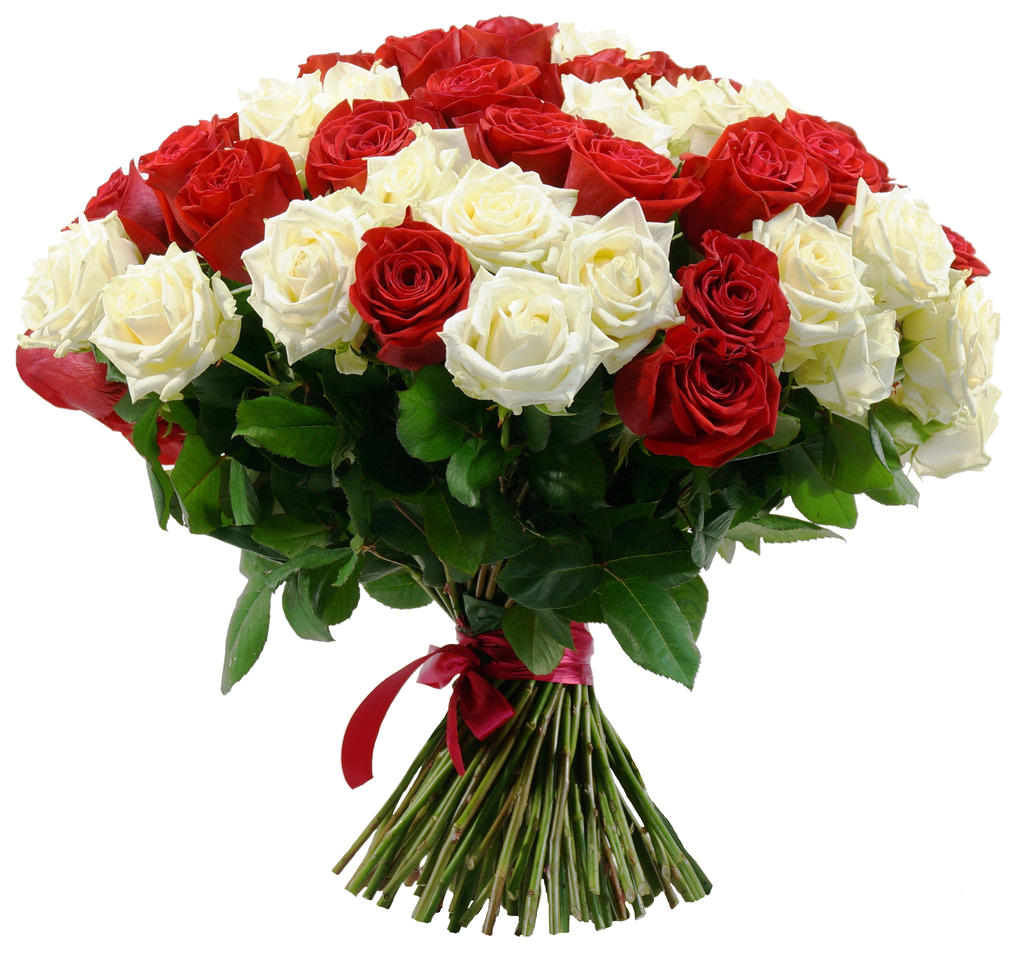عکس دسته گل رز سفید قرمز برای استفاده در Inshot