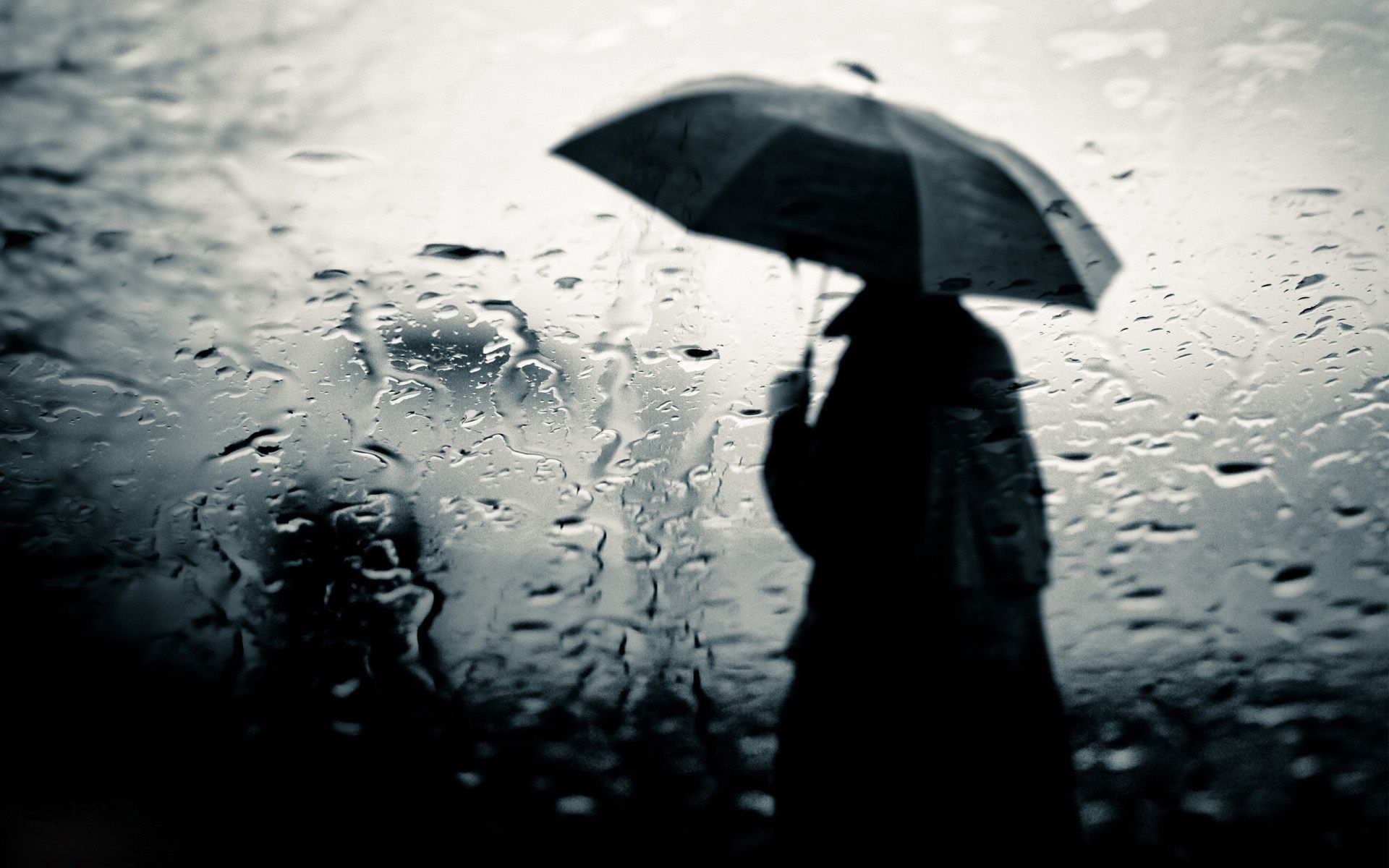 پروفایل دلتنگی و تنهایی با طرح مرد در باران بهار با چتر