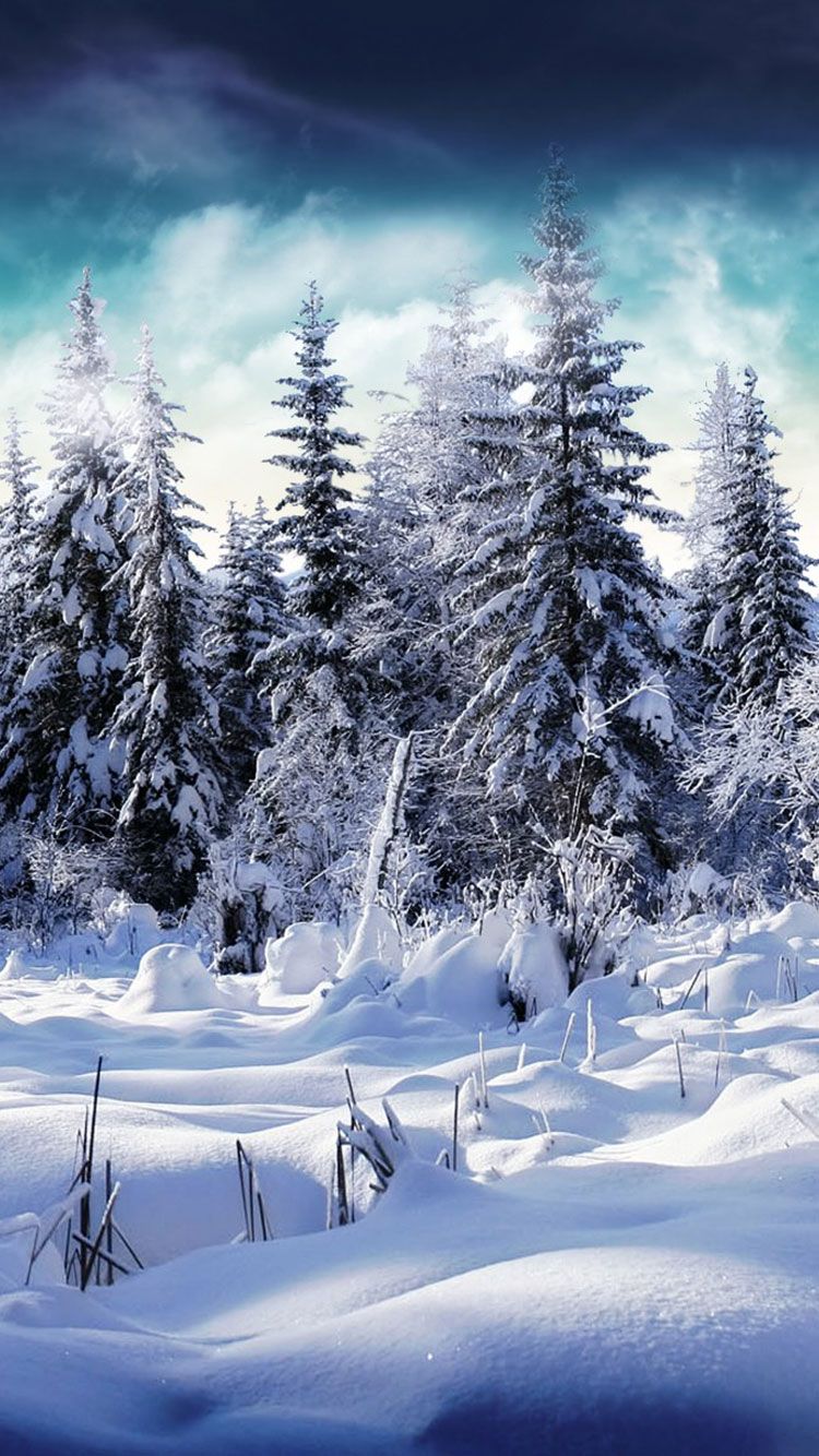 عکس فصل زمستان و برف با سایز استاندارد و ادیت حرفه ای HD
