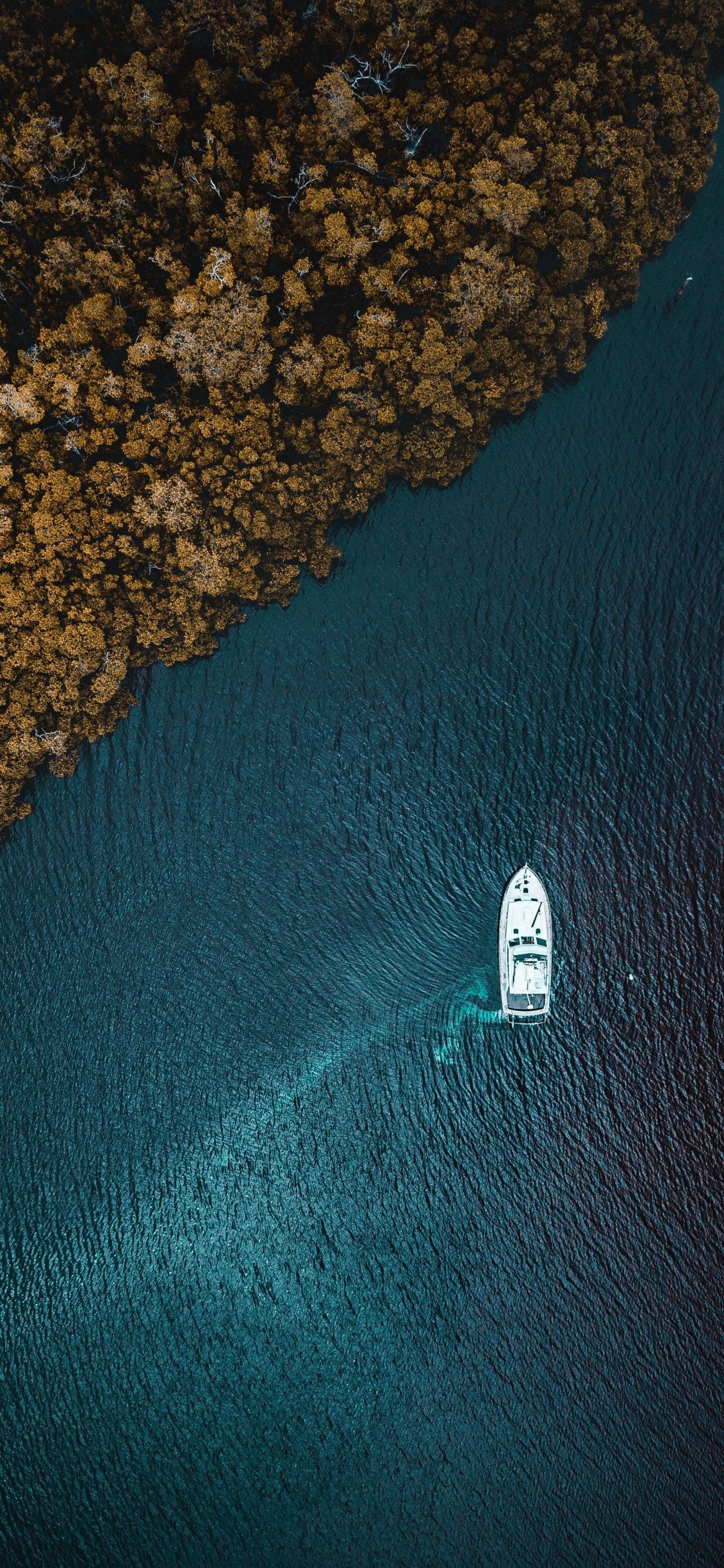 بهترین تصویر هوایی ثبت شده از قایق سفید در دریا کنار جنگل زرد