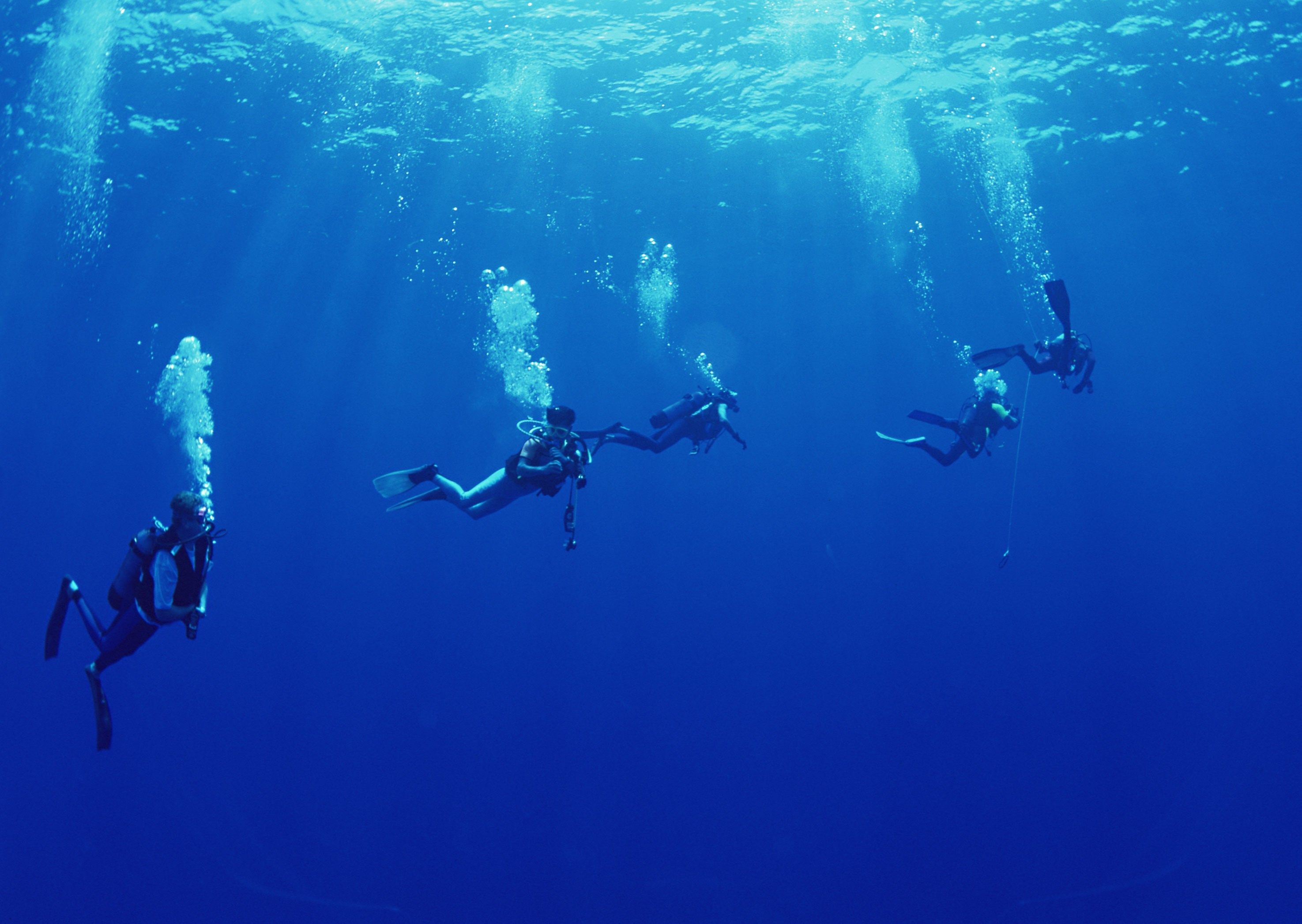 تصویر جالب غواصان حرفه ای زیر آب با لباس مخصوص 