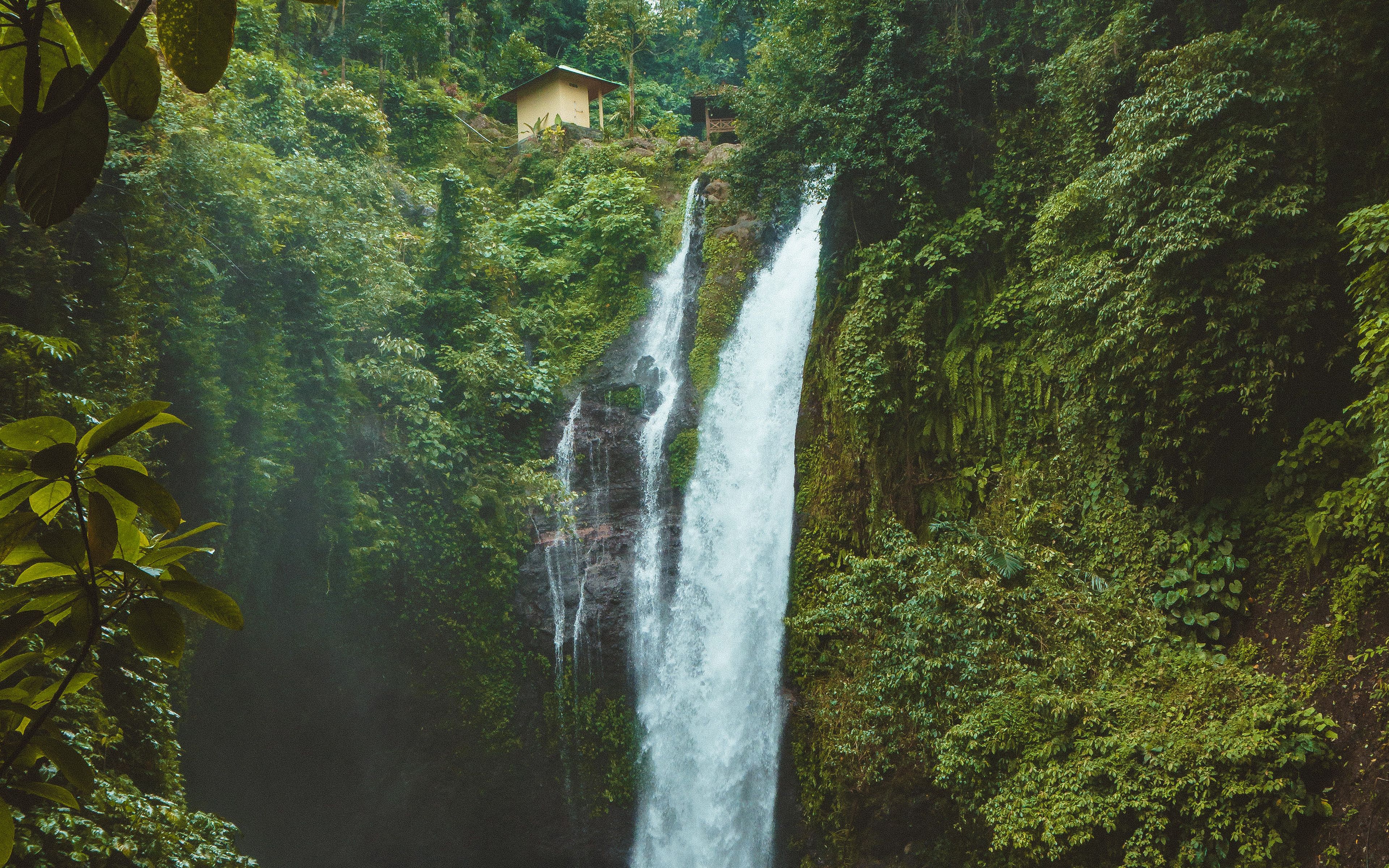 عکس باکیفیت آبشار بلند و زلال در جنگل سرسبز 1402