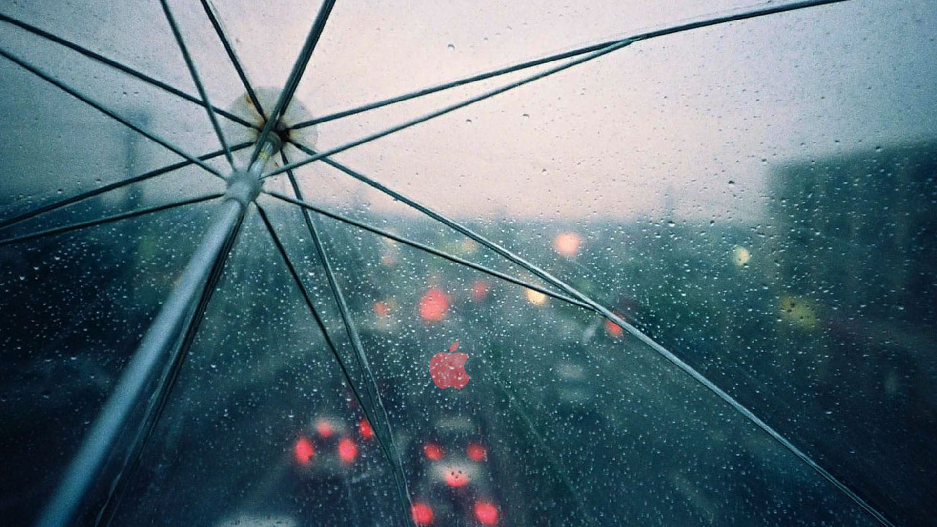 چشم انداز شهر زیبا از بالا در چتر شفاف در باران بهاری