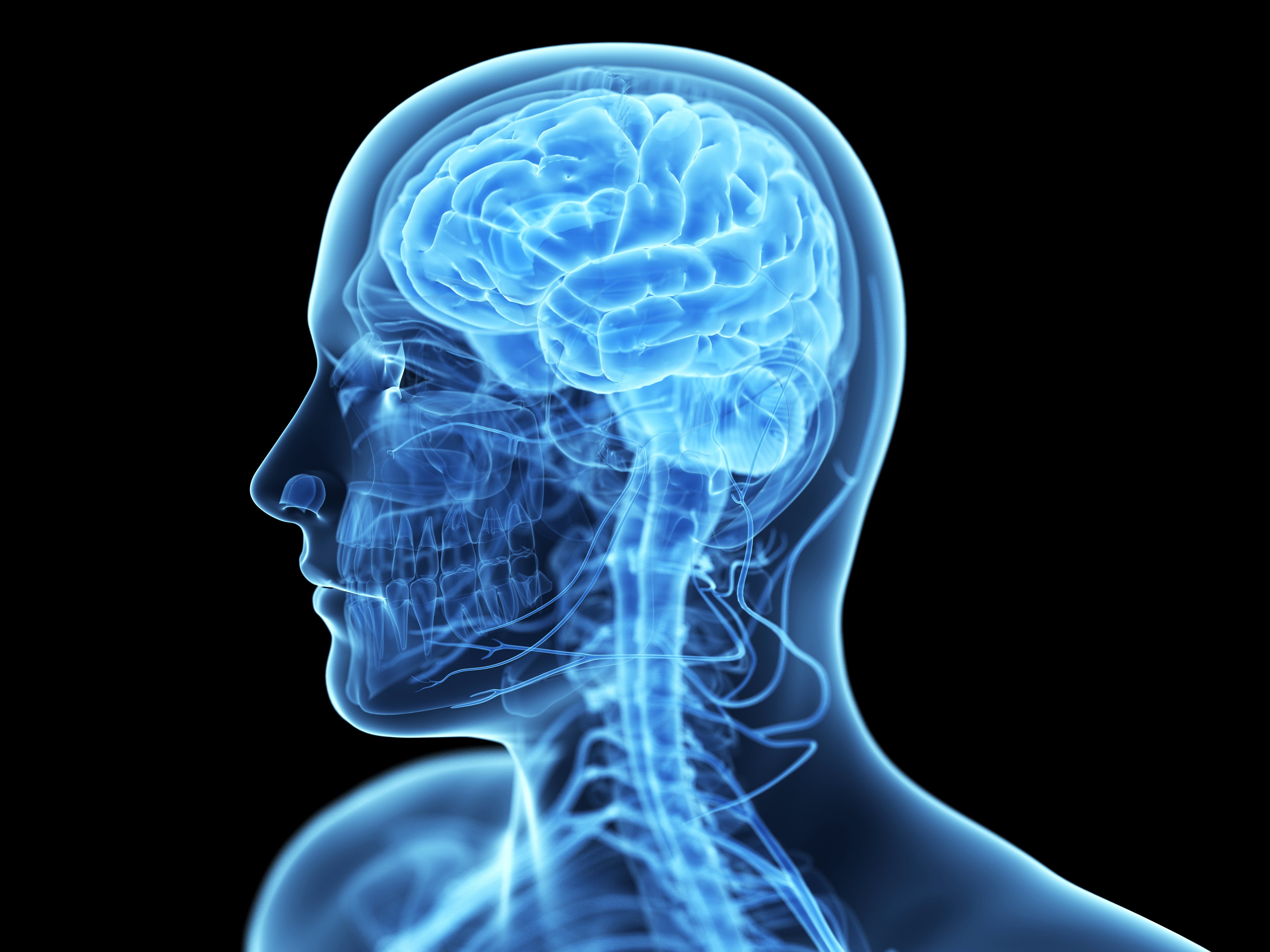 معروف ترین رادیولوژی سر و گردن برای استفاده در مقاله