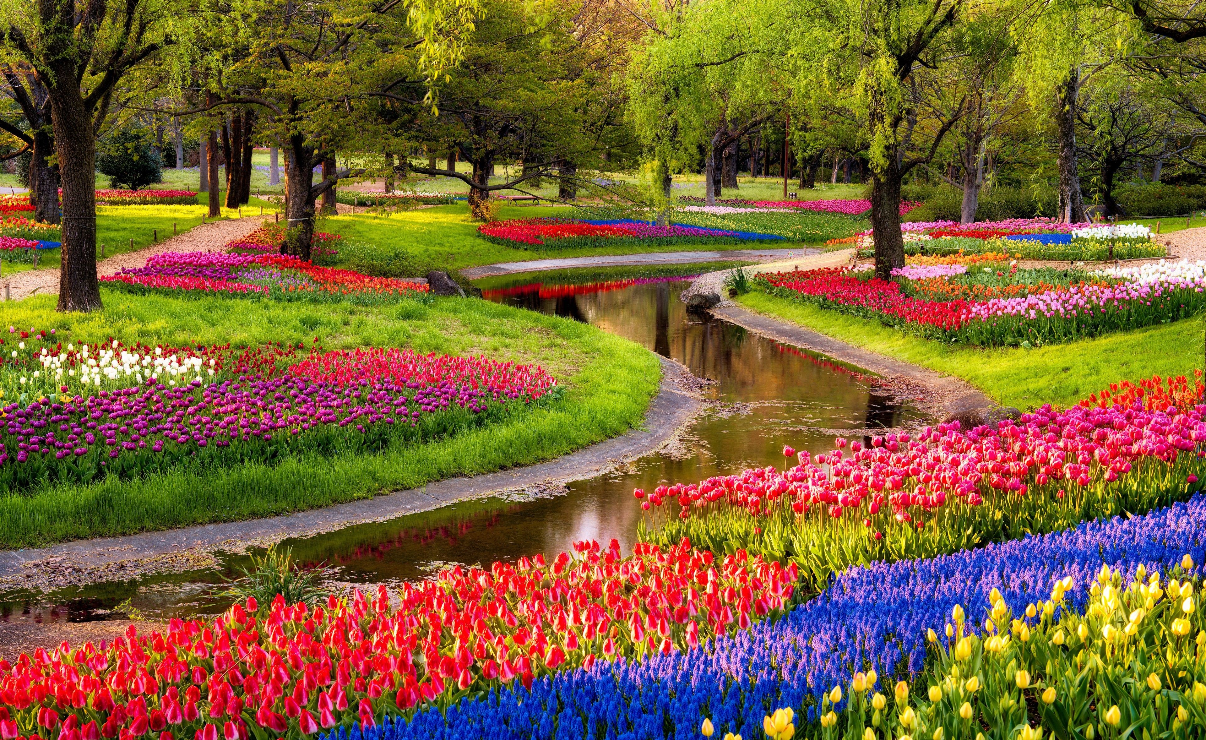 تصویر پرطرفدار باغ گل رنگارنگ در پارک در فصل زیبای بهار