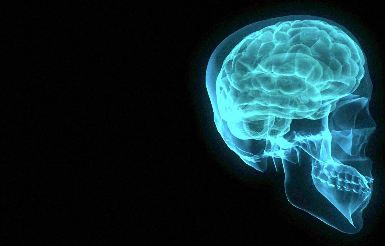 تازه ترین عکس Radiography مغز انسان با وضوح بالا