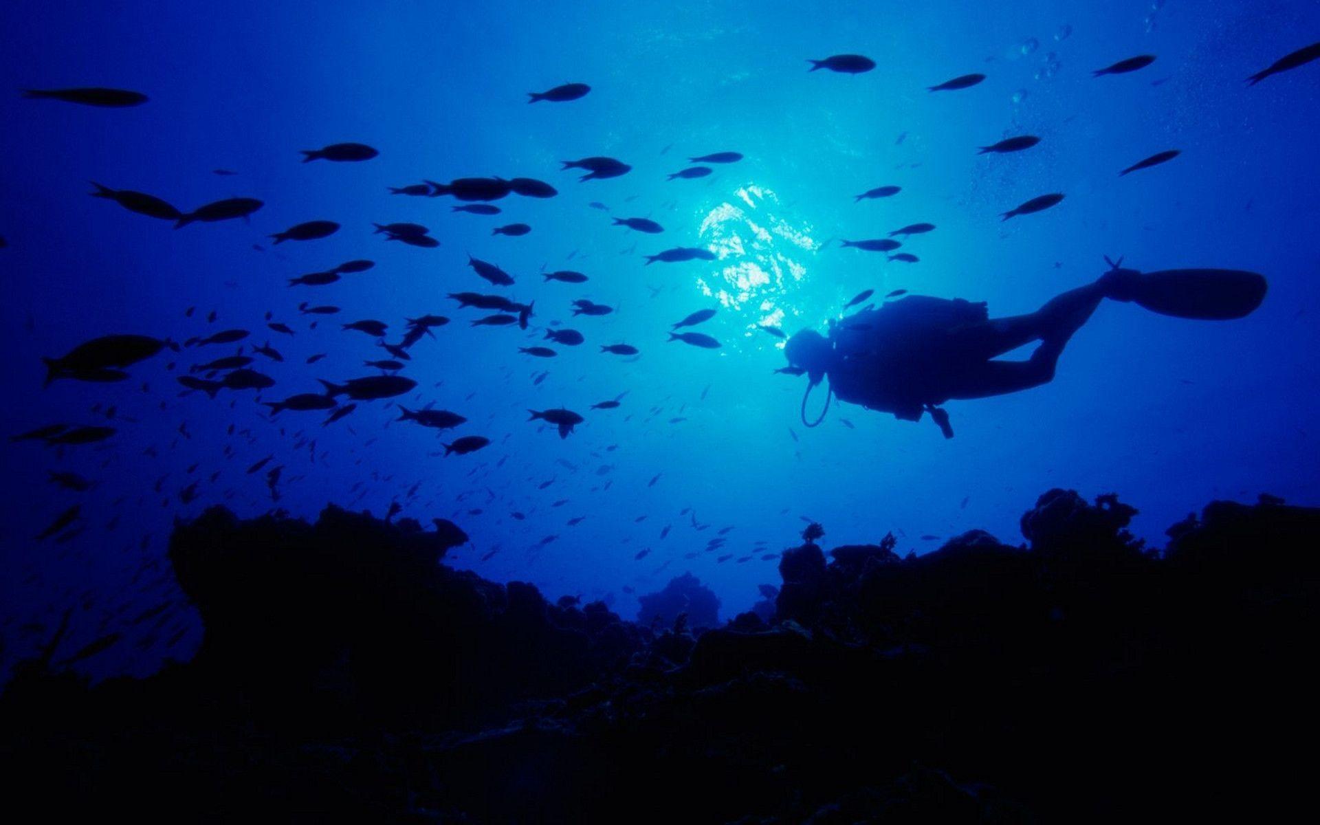 زیباترین صفحه زمینه غواصی زیر آب برای لپتاپ غواصان