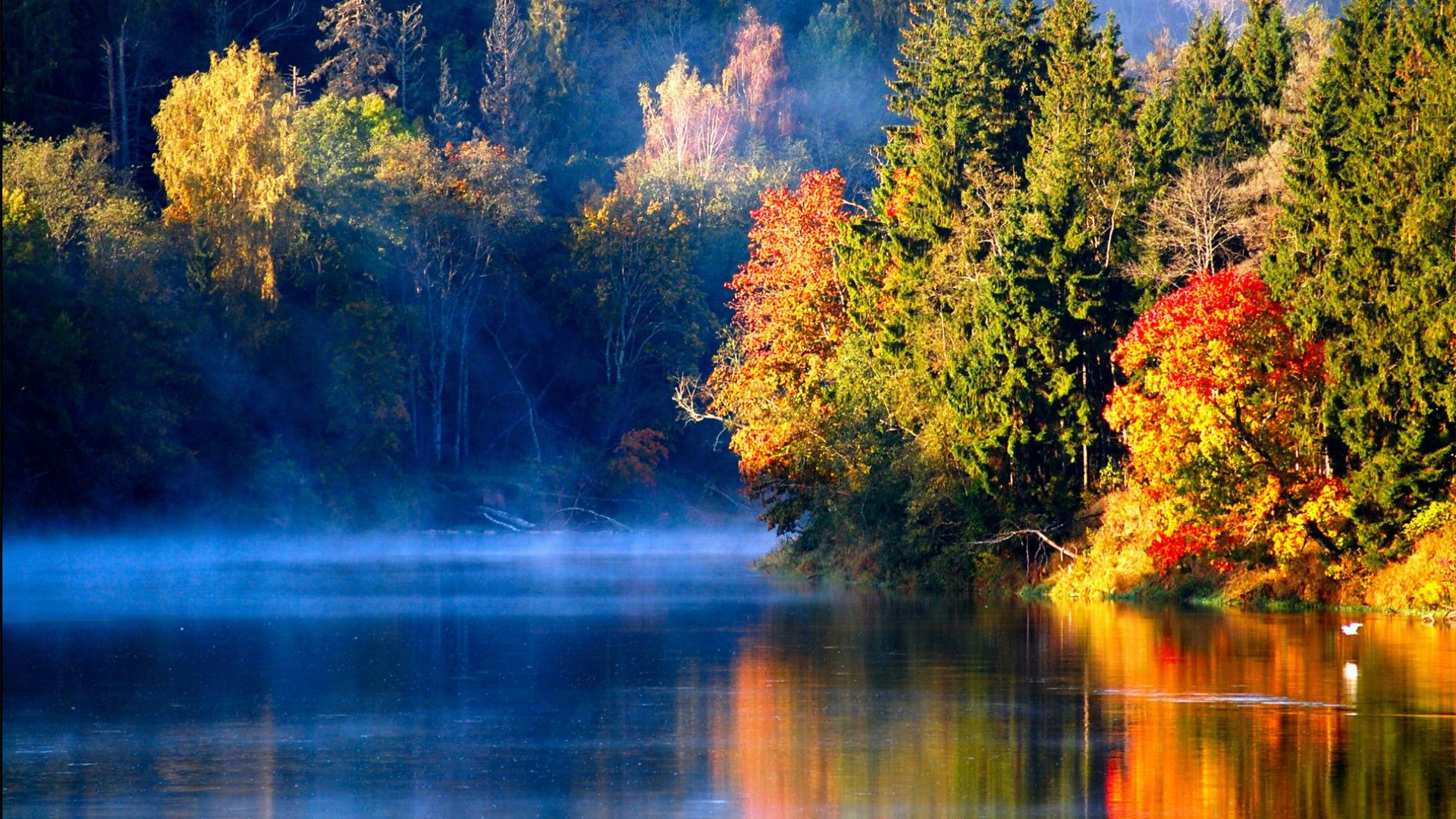 عکس طبیعت رنگارنگ پاییزی در حاشیه آب رودخانه با کیفیت عالی