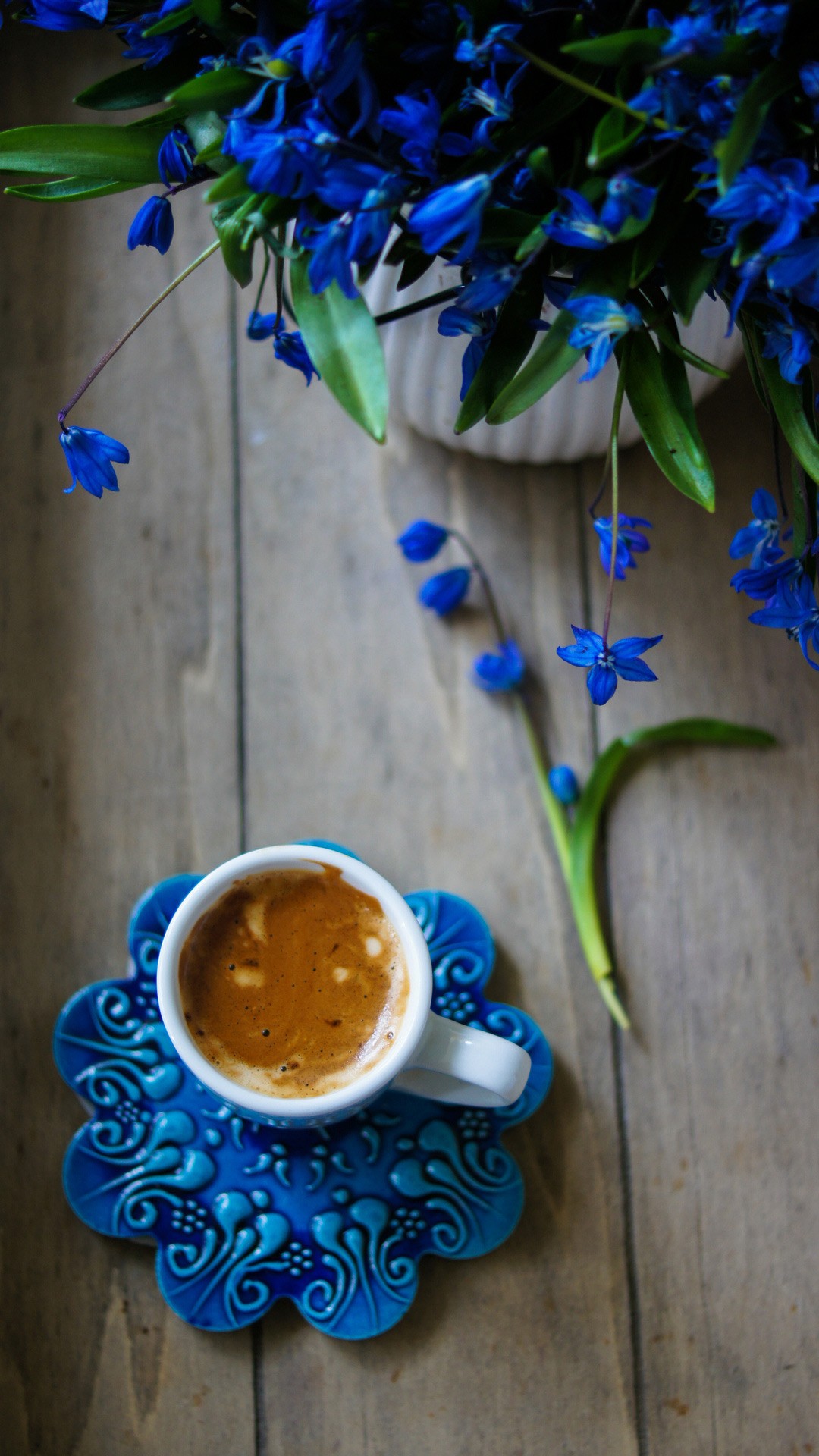 تصویر زمینه مینیمال گل آبی در کنار فنجان قهوه برای والپیپر HD