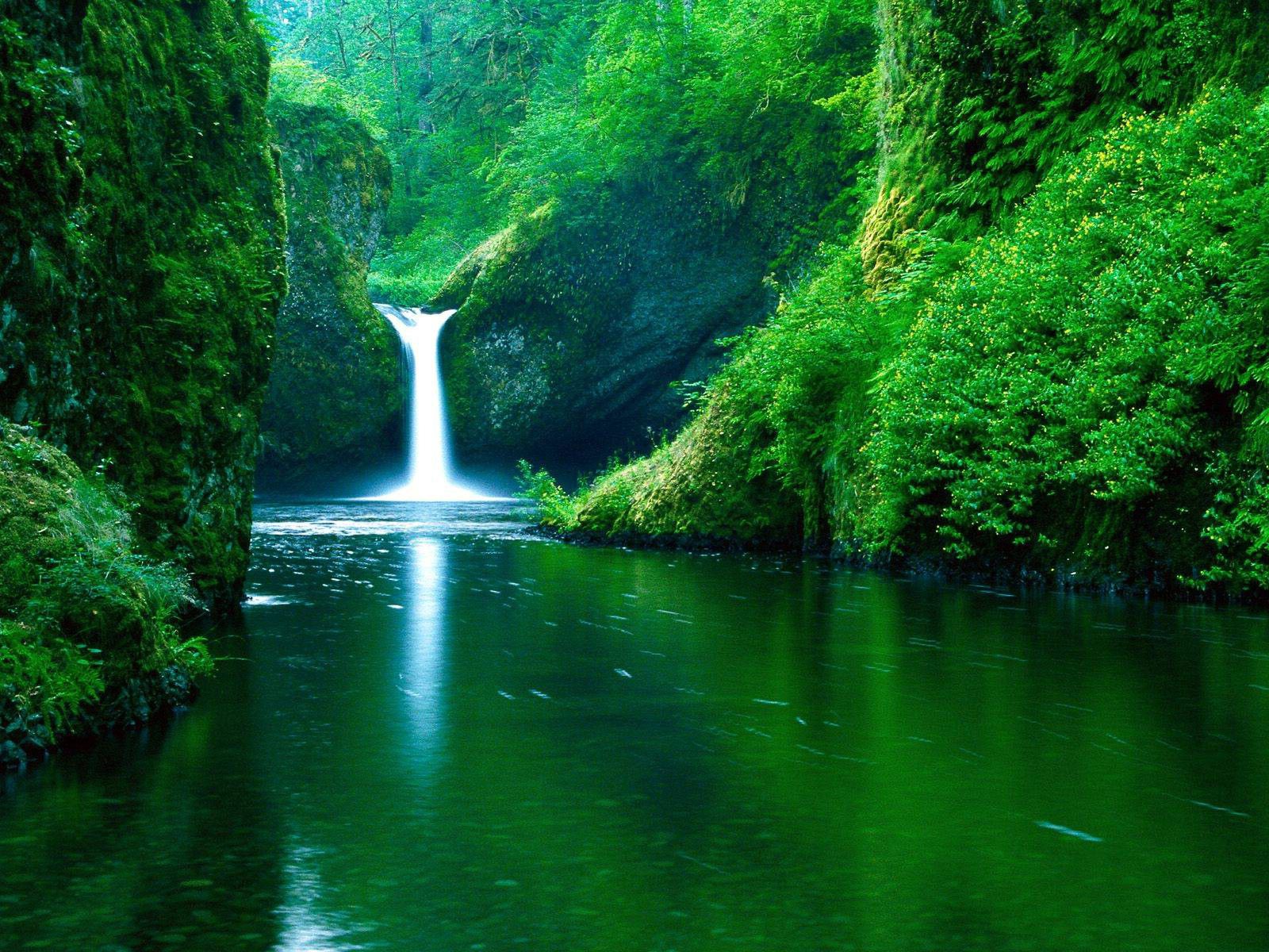 تصویر آبشار و رودخانه زیبا درون جنگل سبز 2023