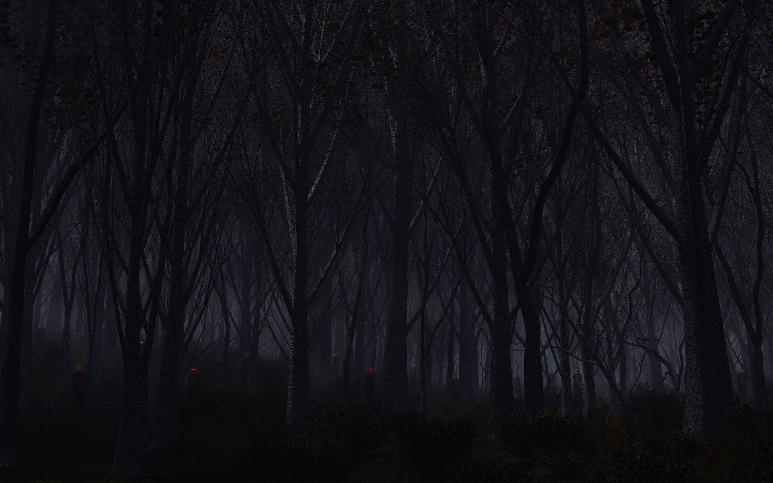 دانلود عکس جدید جنگل ترسناک جادویی با کیفیت دلپسند 
