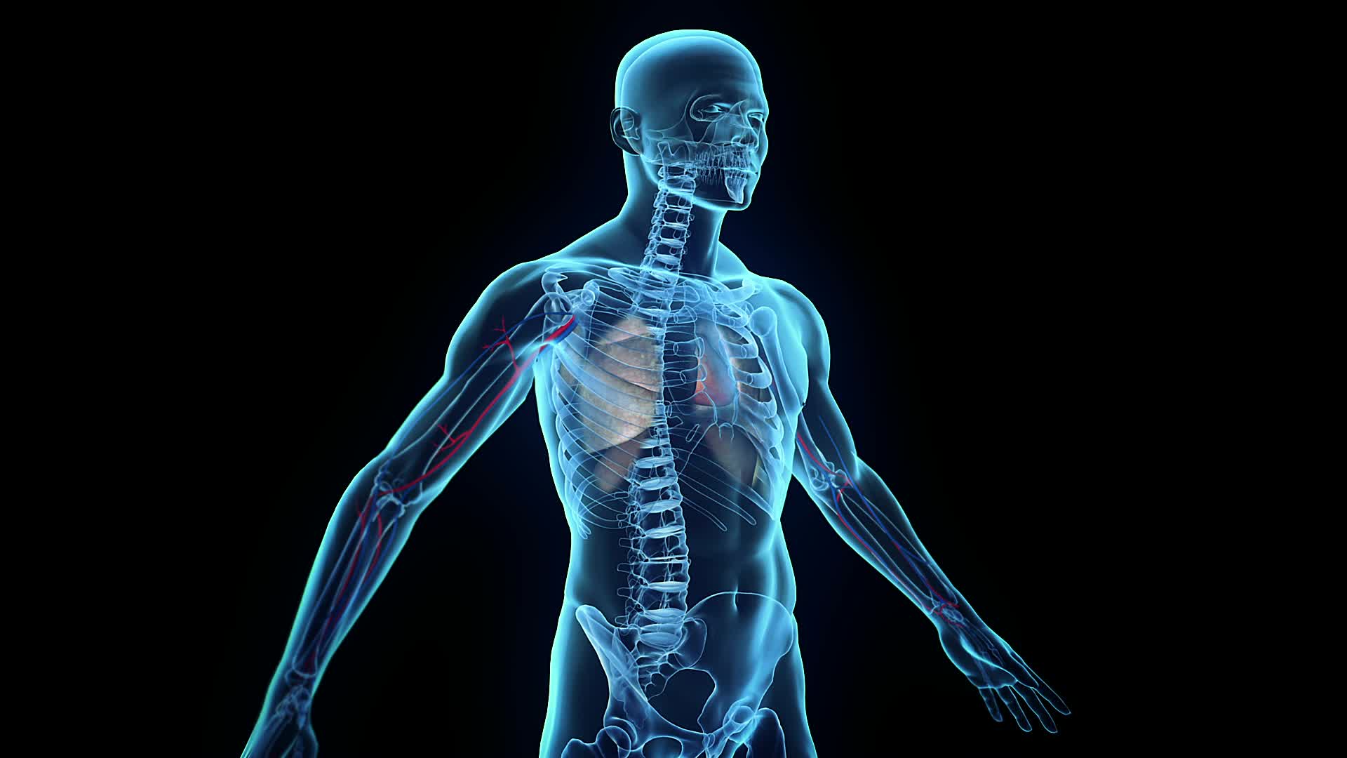 تصویر بسیار باکیفیت 3D از رادیولوژی کامل بدن در انسان