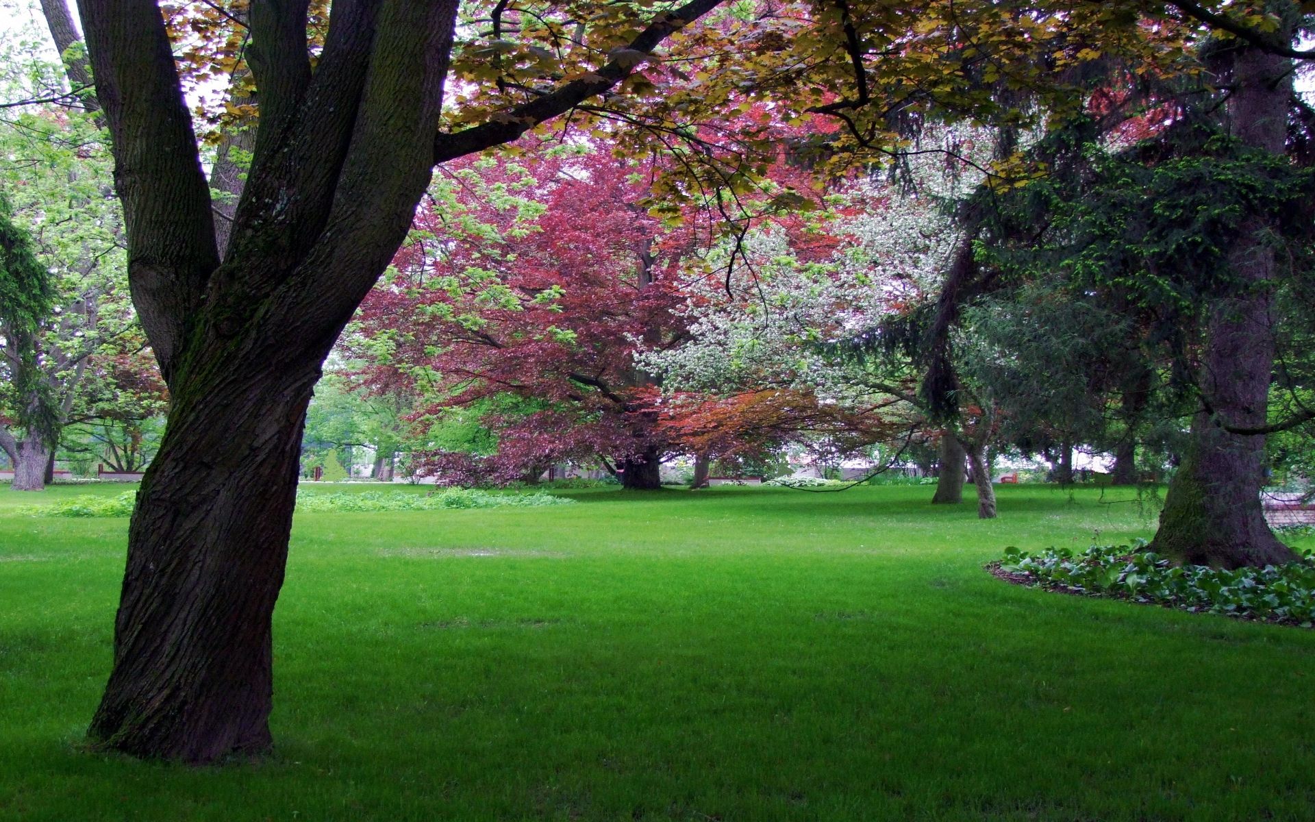 عکس فصل بهار در پارک سرسبز با کیفیت بالا برای چاپ بنر