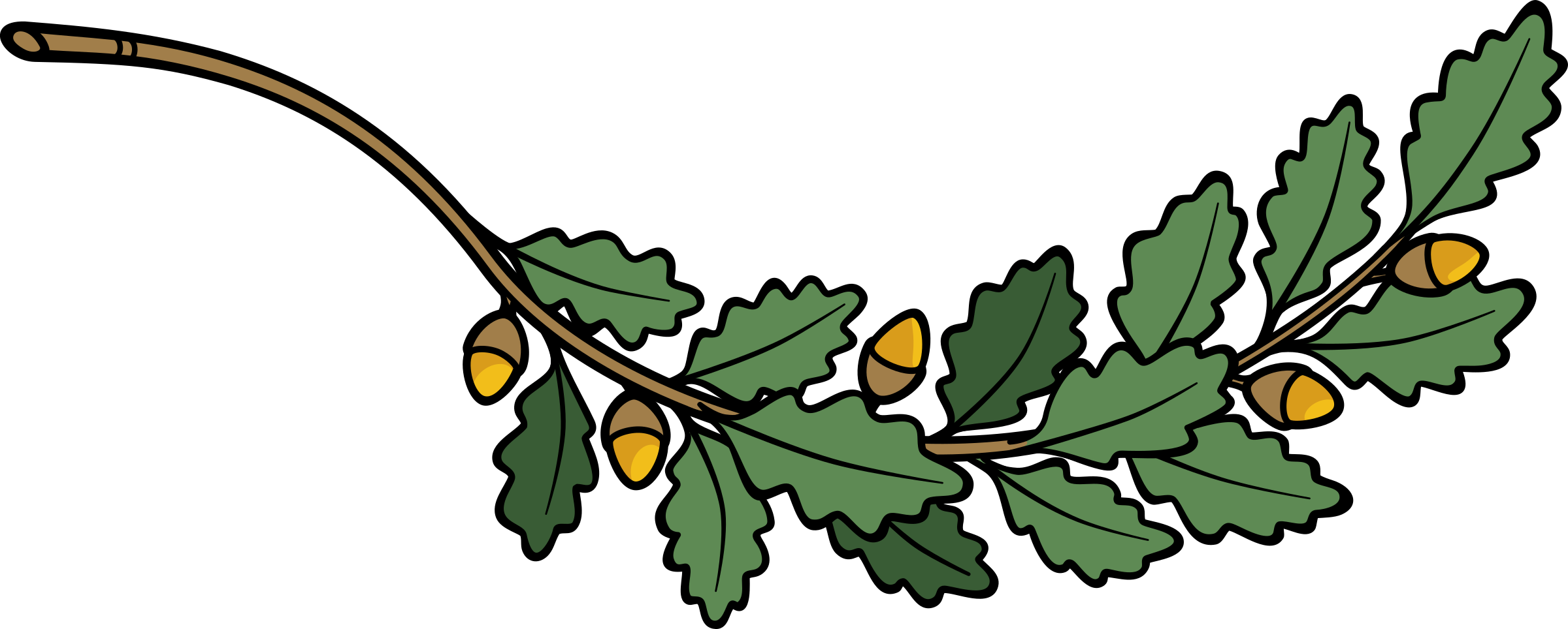 تصویر جدید کارتونی شاخه درخت بلوط با برگ و میوه