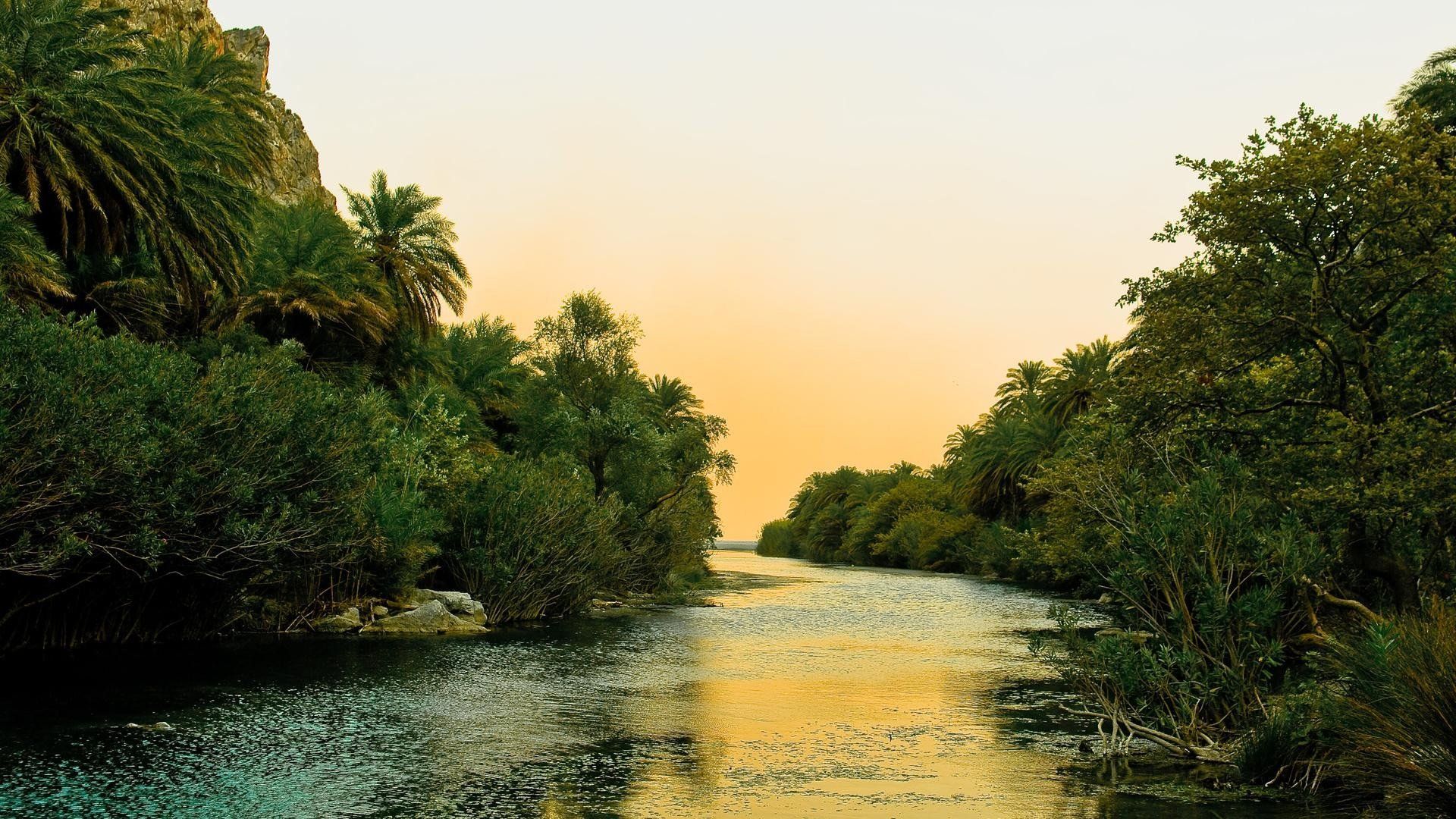 عکس رودخانه طویل درون جنگل با تابش ملیح نور آفتاب 