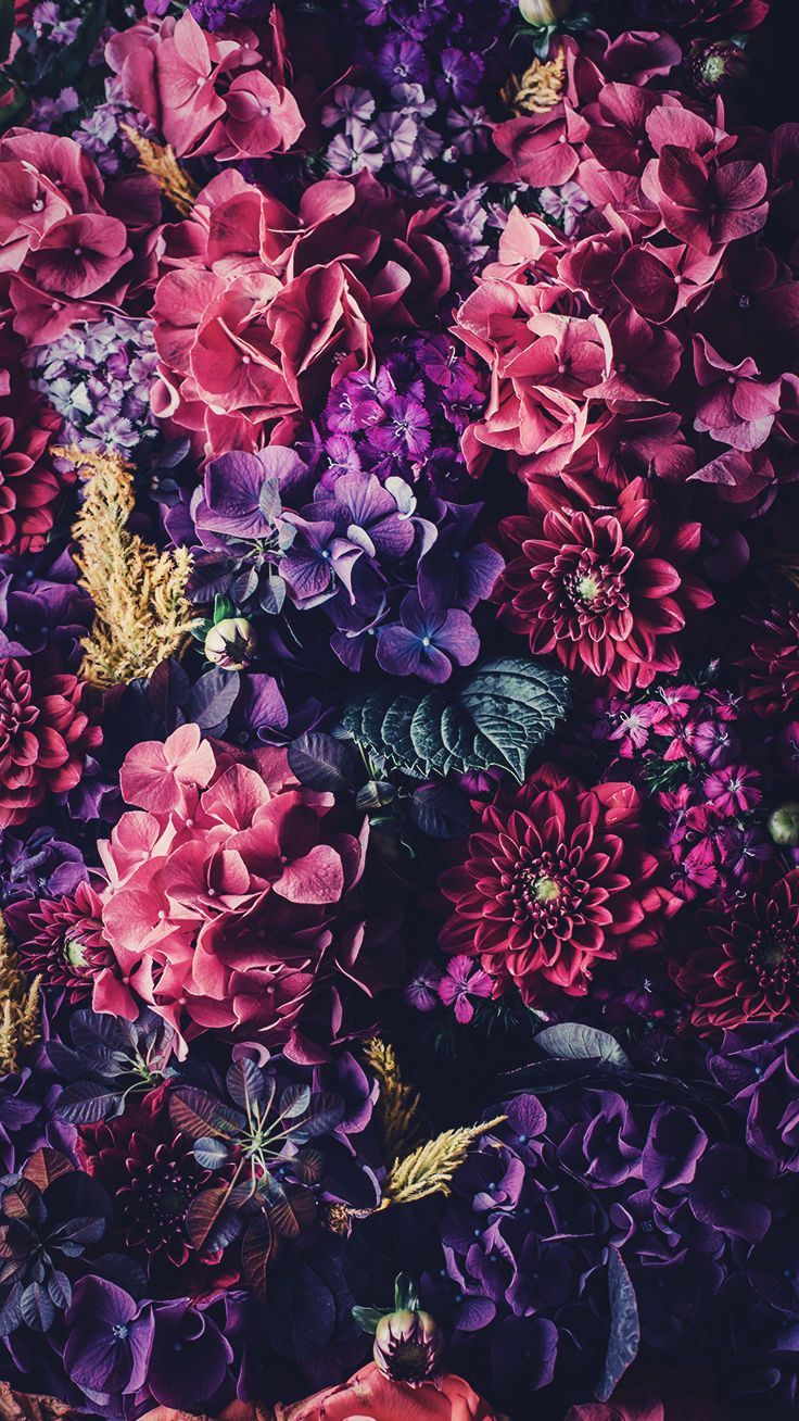 عکس استوک گل های رنگارنگ با قاب عمودی برای زمینه