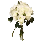 چاپ قاب موبایل و گوشی دانلود png دسته گل سفید رویایی برای طراحی سایت