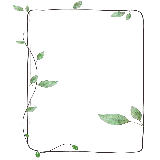 چاپ قاب موبایل و گوشی حاشیه و کادر ساده برای نوشتن متن با طرح شاخ و برگ های ظریف