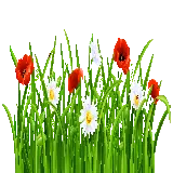 چاپ قاب موبایل و گوشی png گل های بهاری دلبر برای ساخت کارت تبریک سال نو
