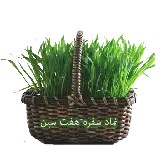 چاپ قاب موبایل و گوشی تصویر دوربری شده سبزه به عنوان نماد سفره هفت سین