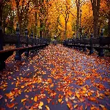 چاپ قاب موبایل و گوشی دانلود عکس پس زمینه از پاییز Autumn HD