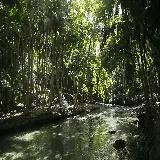 عکس رودخانه زیبا