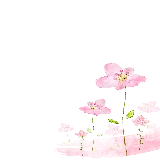 چاپ قاب موبایل و گوشی گل آبرنگی صورتی برای فتوشاپ و این شات