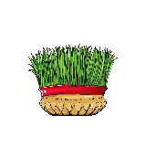 چاپ قاب موبایل و گوشی خوشگل ترین نقاشی سبزه عید با فرمت png کاملا رایگان