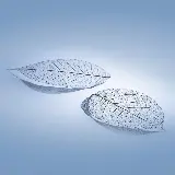 چاپ قاب موبایل و گوشی عکس زمینه برگ و پس زمینه برگ برای گوشی موبایل