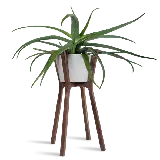 چاپ قاب موبایل و گوشی عکس گلدان و چهارپایه چوبی گیاهان آپارتمانی PNG
