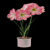 چاپ قاب موبایل و گوشی گیاهان آپارتمانی PNG