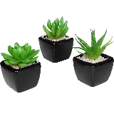 چاپ قاب موبایل و گوشی عکس سه عدد گلدان شیک بدون پس زمینه