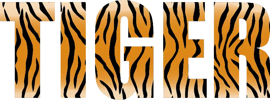 عکس پی ان جی کلمه ببر Tiger با تکسچر پوست نارنجی ببر