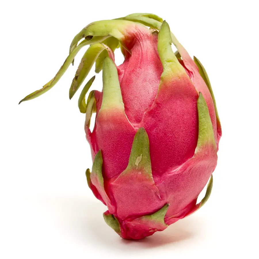 واضح ترین تصویر میوه گرمسیری پیتایا یا Pitaya با زمینه سفید رنگ