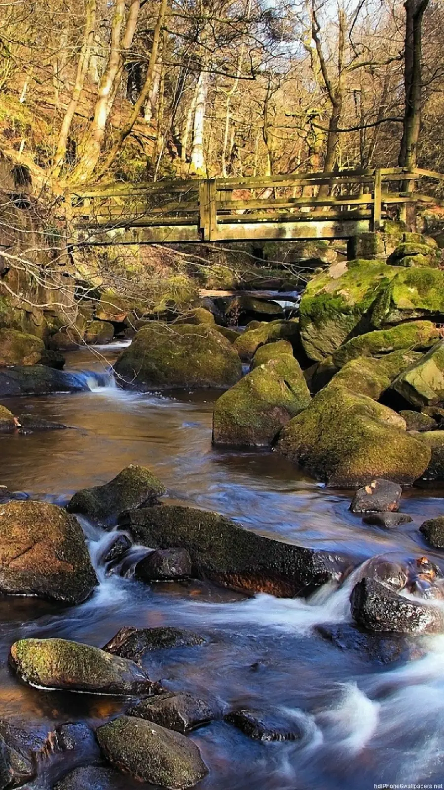 بک گراند رودخانه River الهام بخش شاعران و هنرمندان