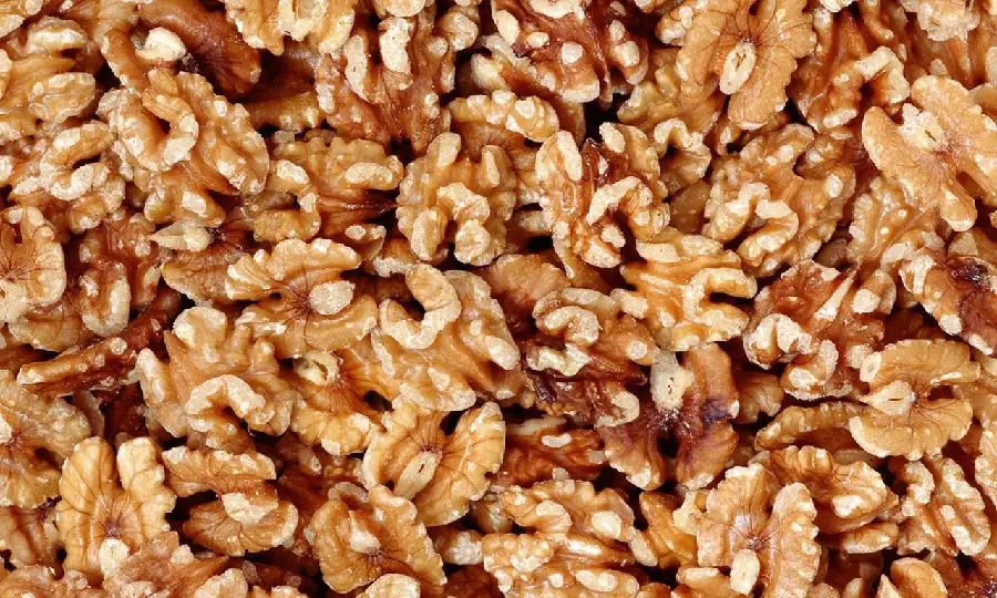 دانلود عکس استوک مغز گردو تازه نوعی میوه خشک و پرطرفدار