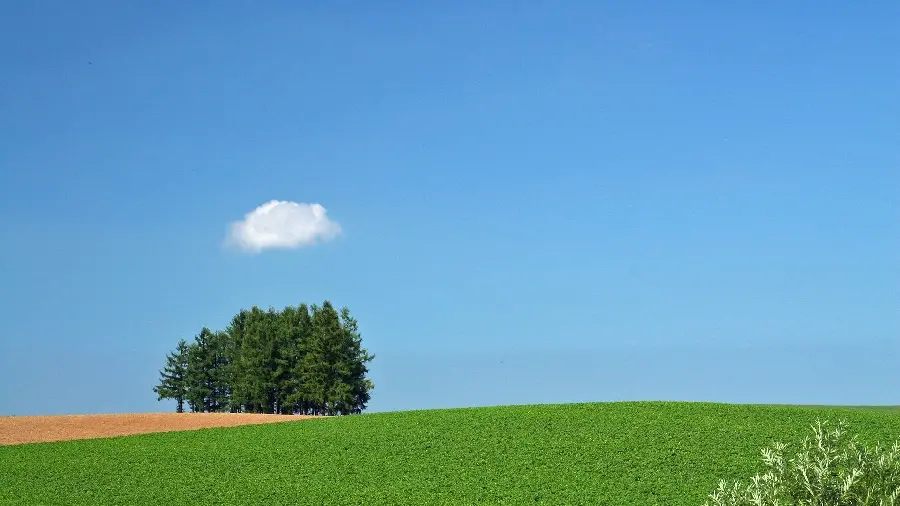 دانلود عکس باطراوت از طبیعت سبز برای موبایل و لپ‌تاپ  