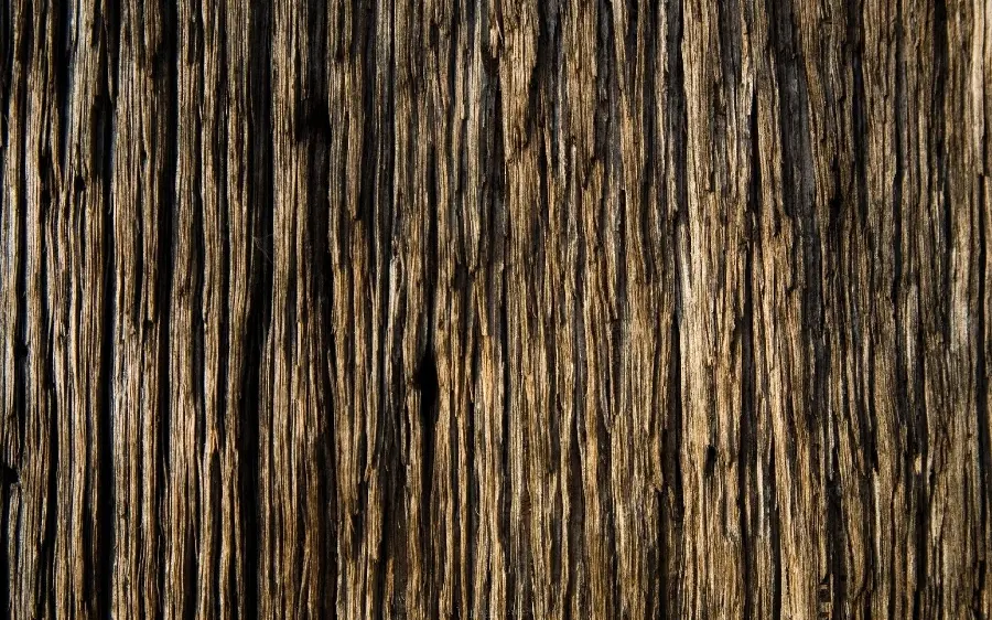 تصویر بافت و تکسچر سه بعدی طرح چوب بسیار زیبا و خاص 