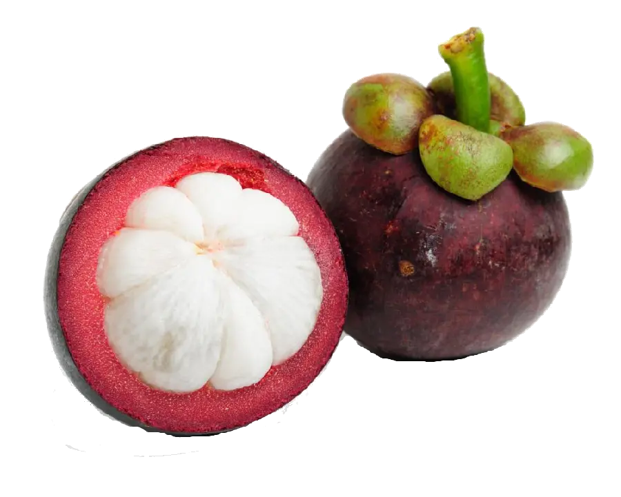 عکس واقعی و پی ان جی PNG میوه ترگیل دوربری شده رایگان 