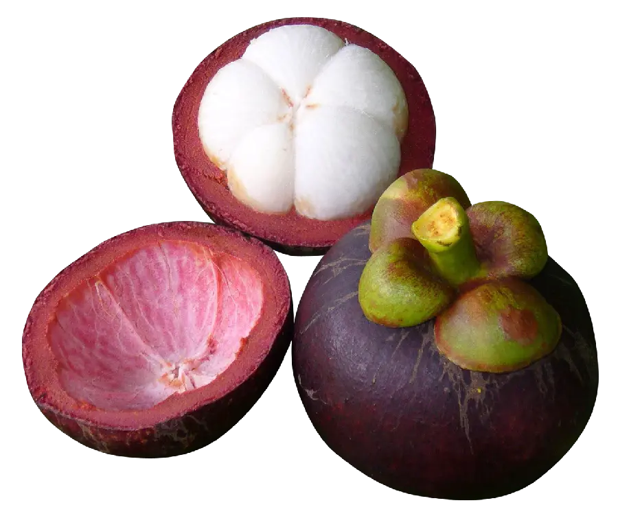 واضح ترین عکس میوه ترگیل PNG پی ان جی رایگان 