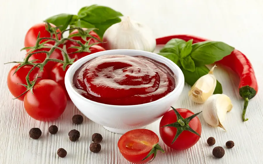 عکس بسیار زیبا و جالب از سس گوجه فرنگی با نعناع 