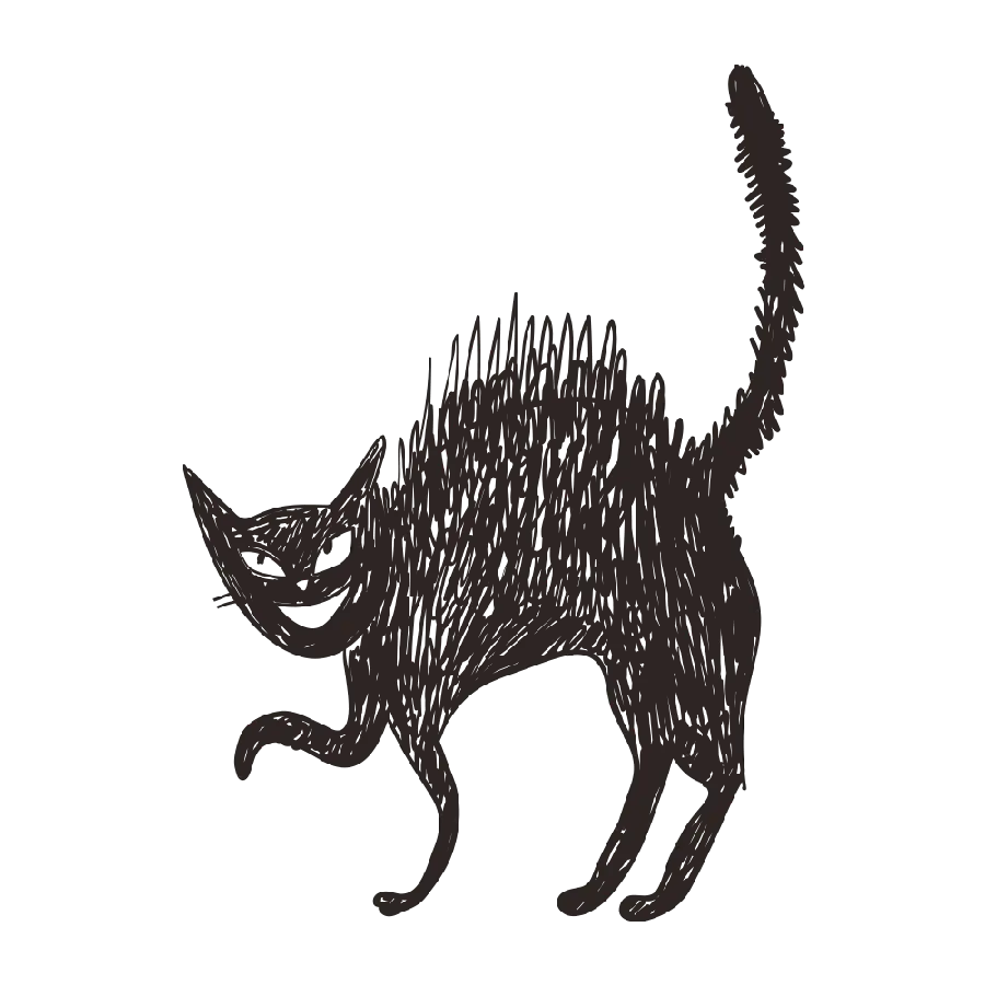 دانلود تصویر رایگان گربه تیره رنگ پی ان جی دور بری شده 