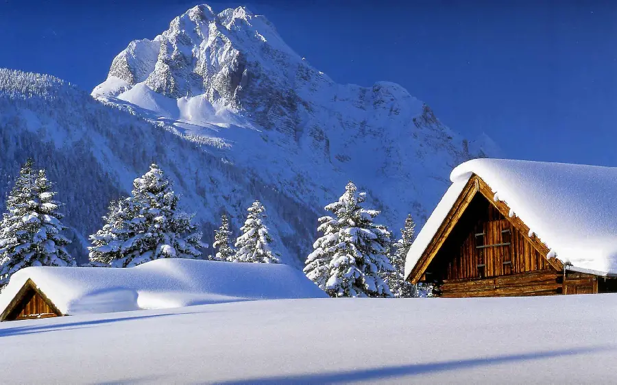 پوستر خانه کوهستانی زمستانه با درختان سرپوشیده از برف