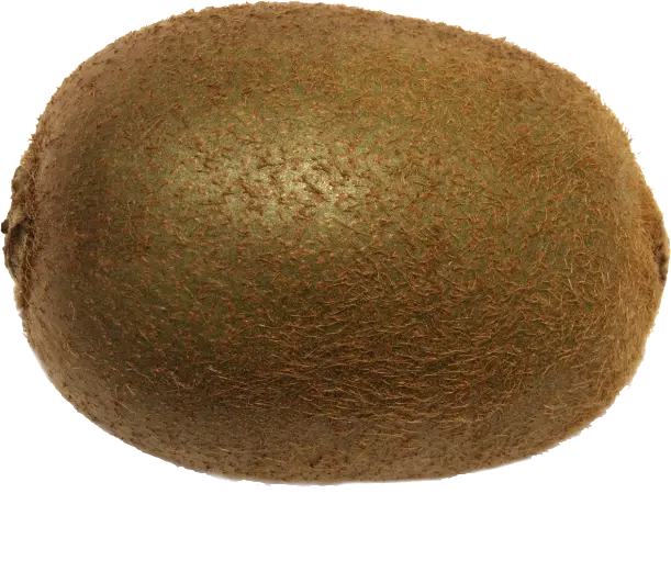 فایل دوربری شده میوه کیوی با پسوند PNG و بدون پس زمینه