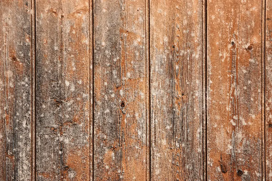 عکس زمینه خوشگل بافت چوب قدیمی با قطرات رنگ سفید روی آن